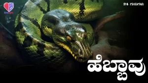 24 ಗುರುಗಳು – ಭಾಗ 10 | ಹೆಬ್ಬಾವು | Emo Gym