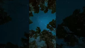 ಸುಭಾಷಿತಧಾರಾ – ೪