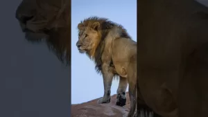 ಸುಭಾಷಿತಧಾರಾ – ೯