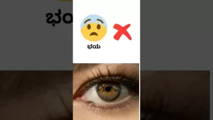 ಸುಭಾಷಿತಧಾರಾ – ೨೬ ಸುಭಾಷಿತಧಾರಾ – ೨೬