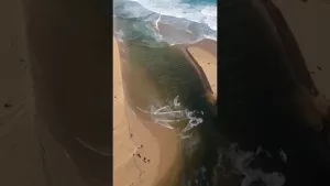 ಸುಭಾಷಿತಧಾರಾ – ೨೭ ಸುಭಾಷಿತಧಾರಾ – ೨೭