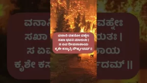 ಸುಭಾಷಿತಧಾರಾ – ೪೭