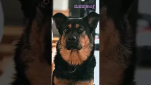 ಸುಭಾಷಿತಧಾರಾ – ೭೦