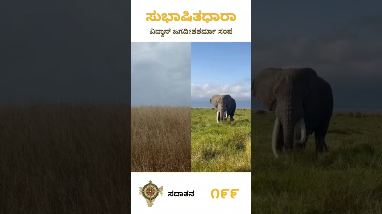 ಸುಭಾಷಿತಧಾರಾ – ೧೯೯